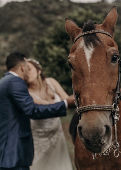 mariage à cheval